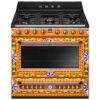 תנור משולב כיריים גז 90 ס"מ SMEG סמג דגם TR90DGC9 | Dolce&Gabbana Divina Cucina | 115 ליטר ו-5 מבערים